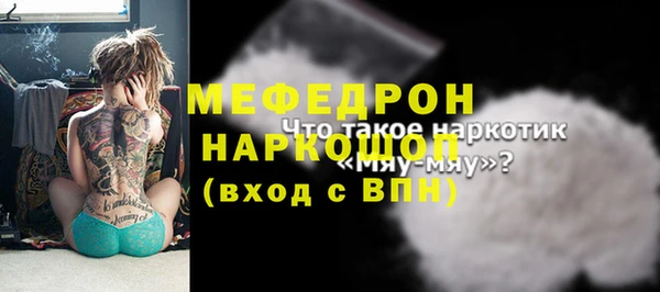 МДПВ Михайлов