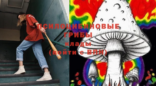 бутират Майский